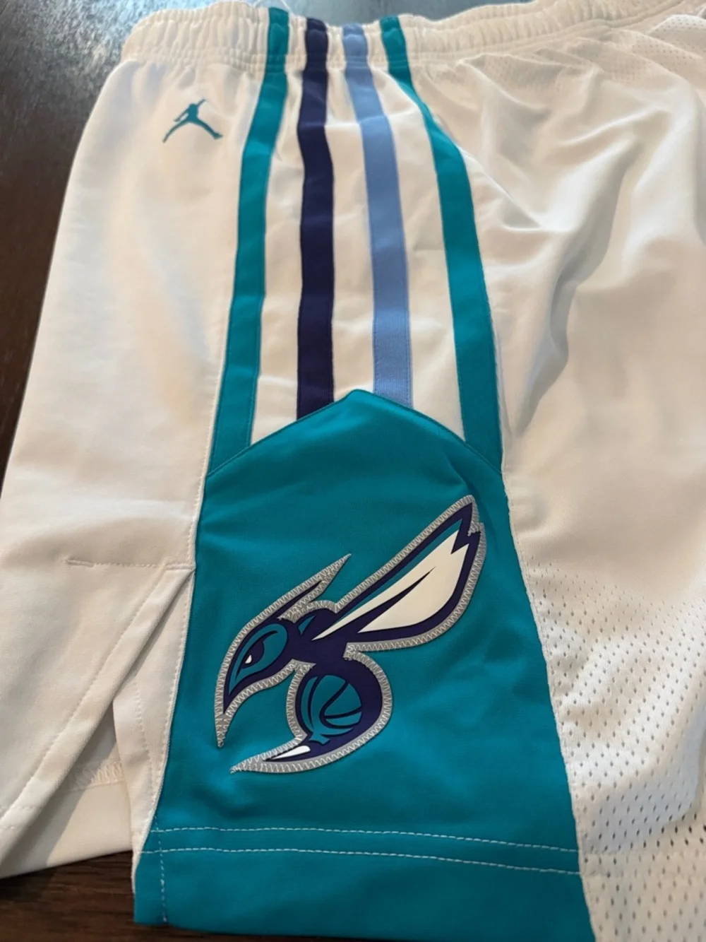 Jordan Charlotte Hornets On Court Player Shorts Nike 44 Pro Cut Game - Picture 5 of 13